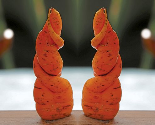 Stillleben: Begegnung ... - Nature morte ...