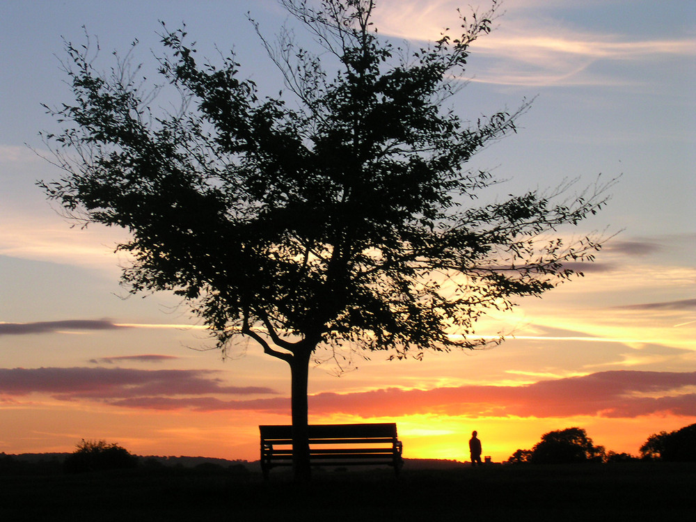 Stillleben beim Sonnenuntergang