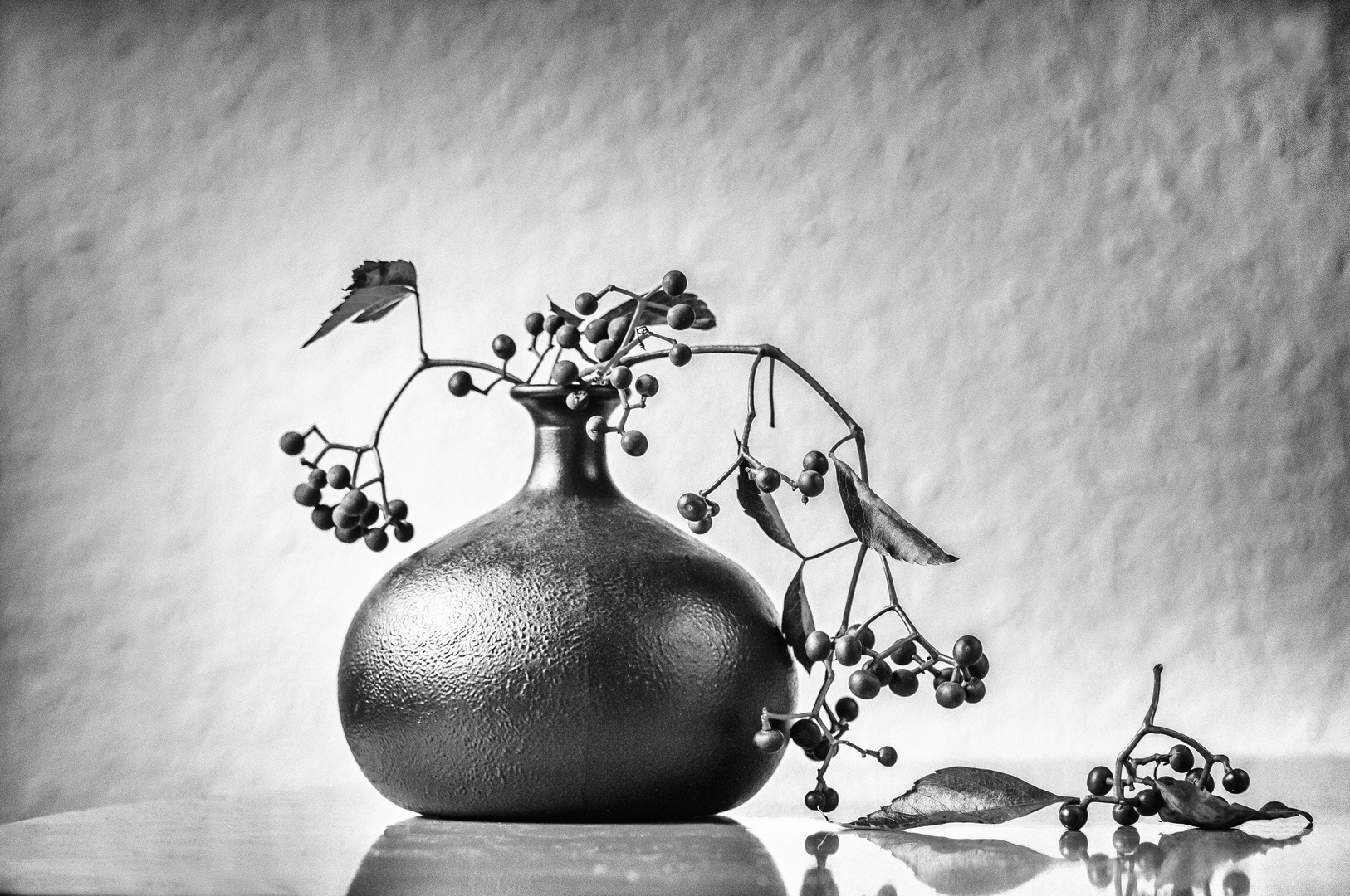 Stillleben Foto Bild Archiv A R C H I V Aktuell Faszinierende S W Fotografie Bilder Auf Fotocommunity