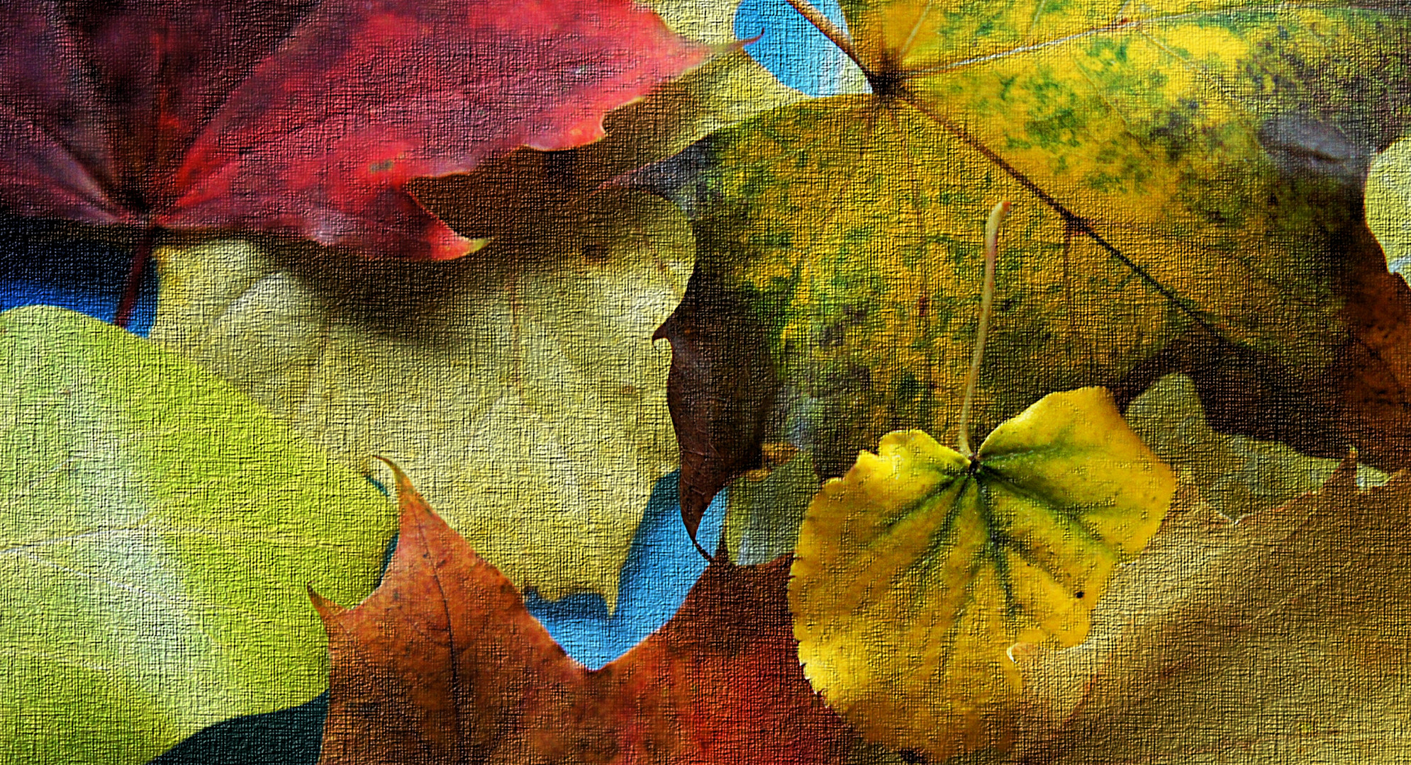 Stillleben Herbstblätter