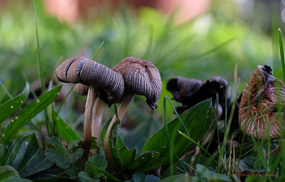 Stillleben im Herbst