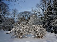 Stillleben im Schnee