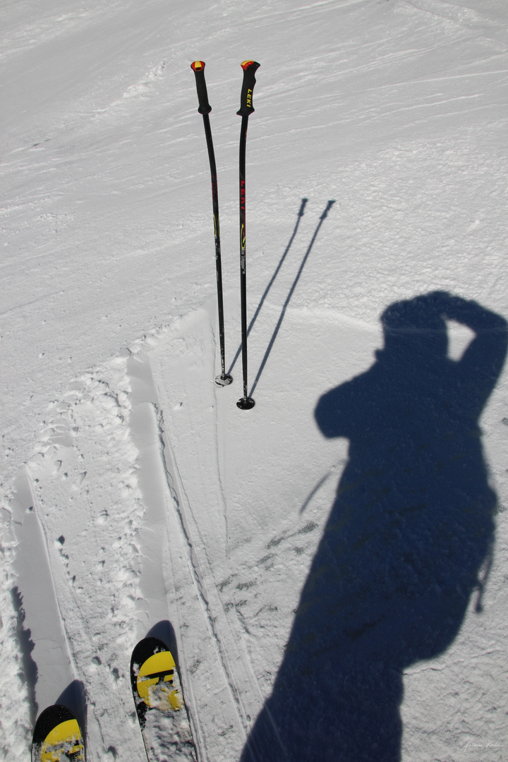 Stillleben im Schnee