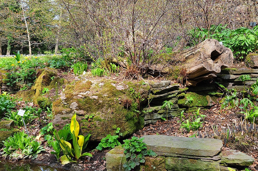 Stillleben in der Natur