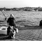 Stillleben in Karaköy