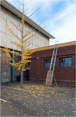 Stillleben mit Herbst und Leiter