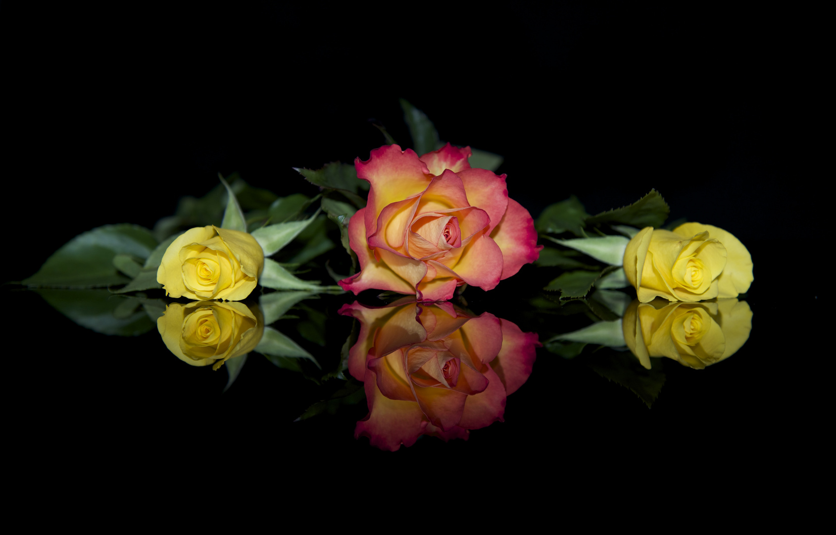 Stillleben mit Rosen