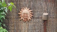 Stillleben mit Sonne