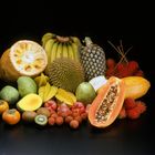Stillleben mit Tropischen Früchten