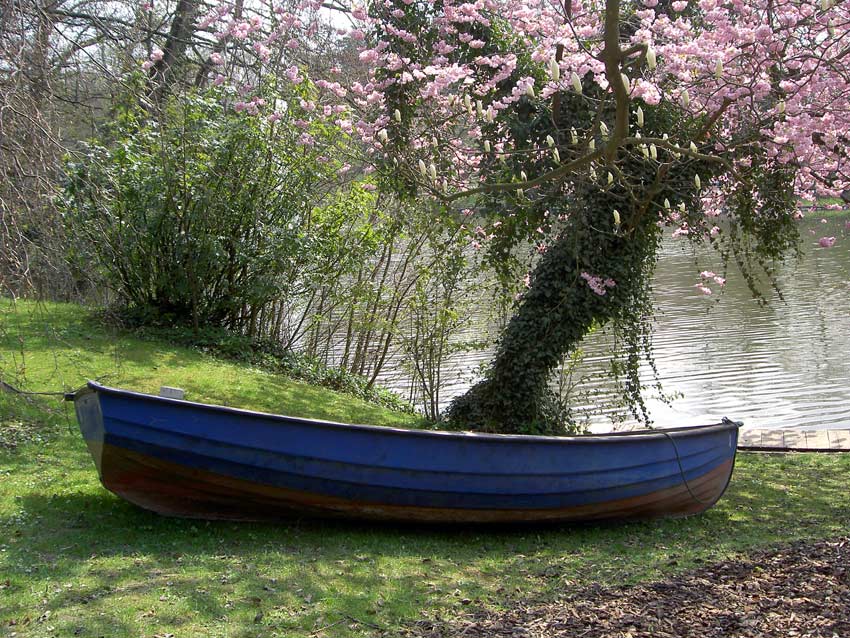 Stillleben oder "Boot sucht Wasser für zärtliche Berührungen"