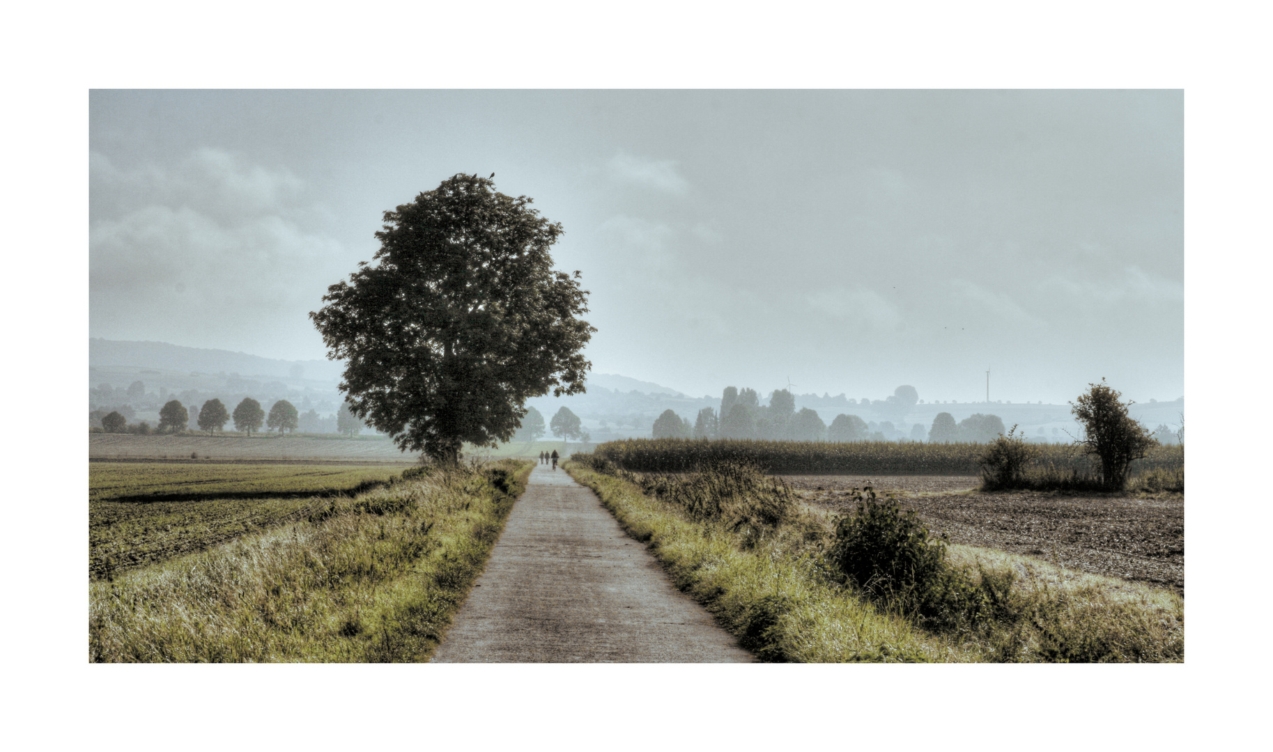 Stillleben Panorama