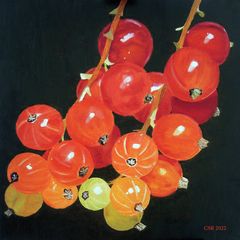 Stillleben - Rote Johannisbeeren mit wassermischbaren Ölfarben gemalt