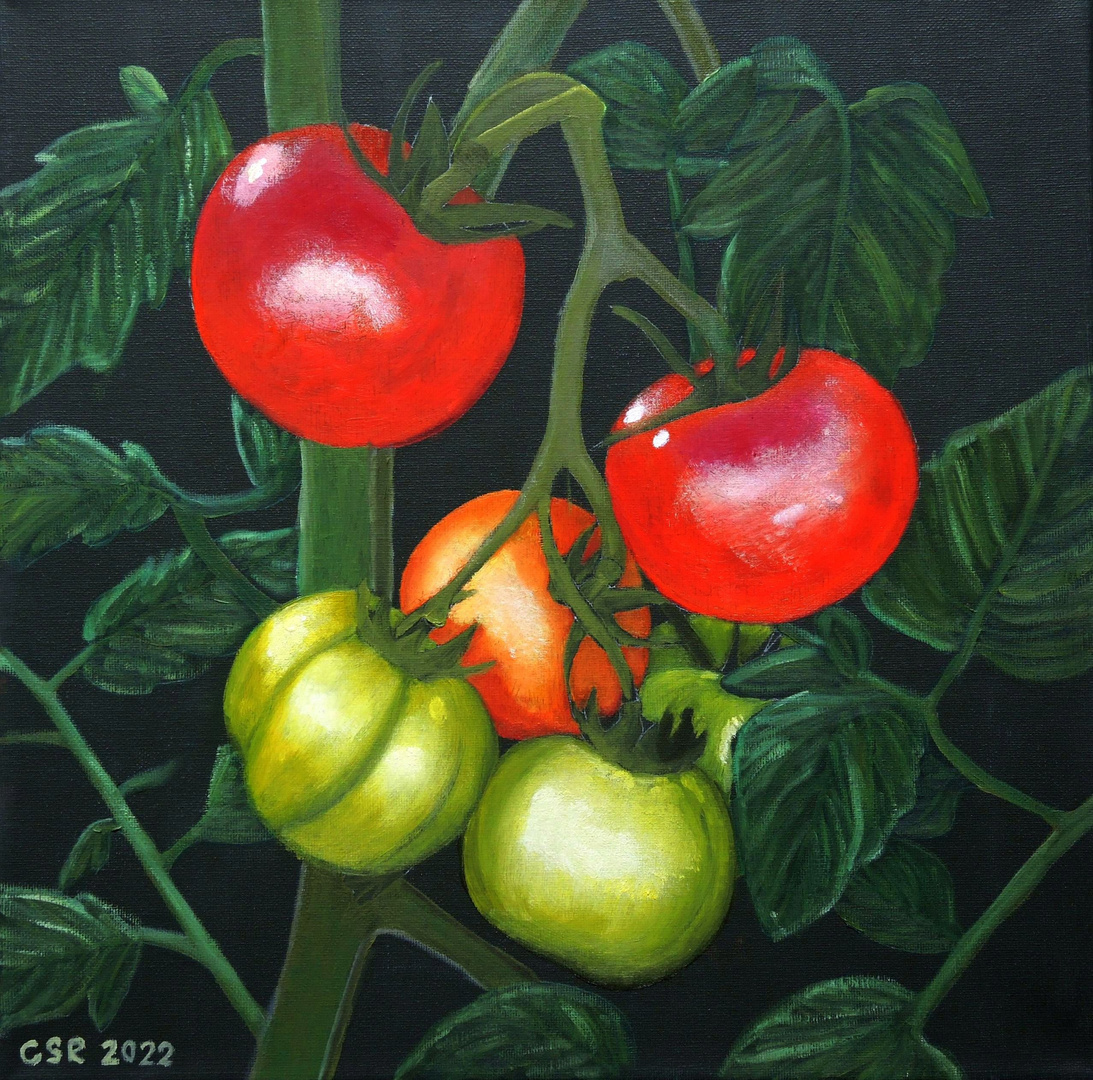 Stillleben - Tomaten mit wassermischbaren Ölfarben gemalt