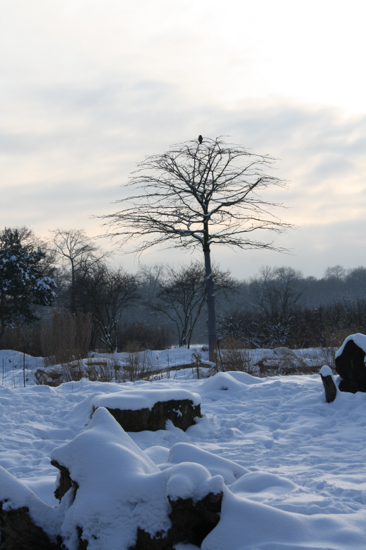 Stillleben Zoo