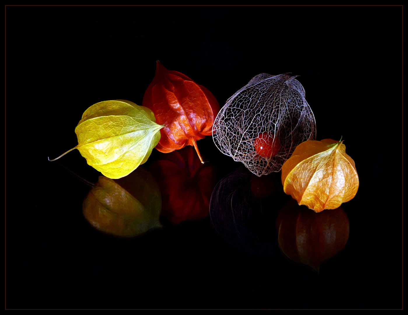  Stilllleben "Lampionblume" 