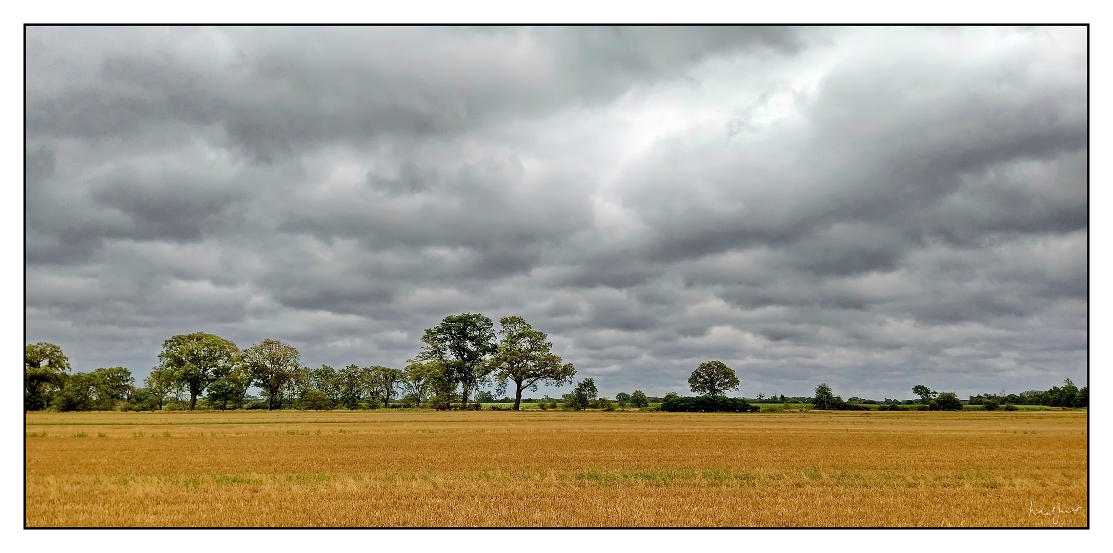 stillness in the storm