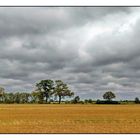 stillness in the storm