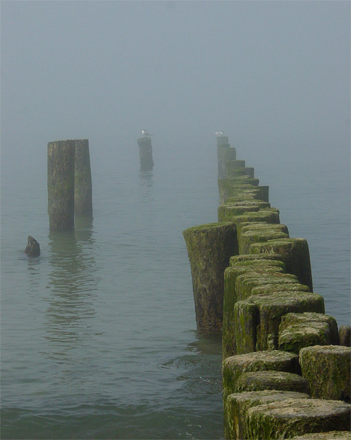 Stillstand im Nebel