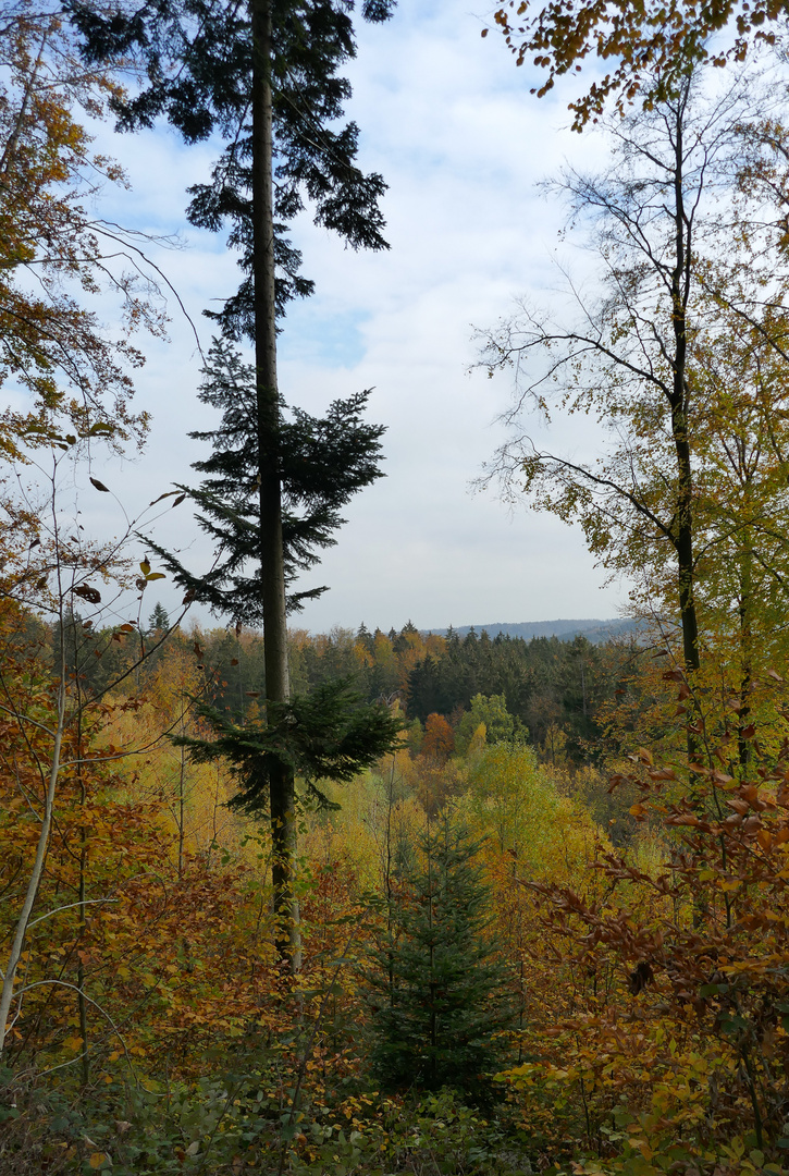 Stillstehen und genießen