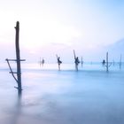 stilt fishing 01