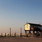 Stilt House