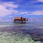 Stilt House on Reef