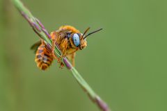 stilvolles Abhängen