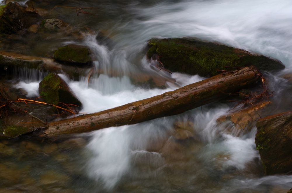 Stimmiger Fluss mit Baumstamm