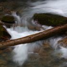 Stimmiger Fluss mit Baumstamm