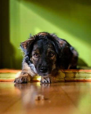 Stimmt, es hätte schlimmer kommen können:-)))