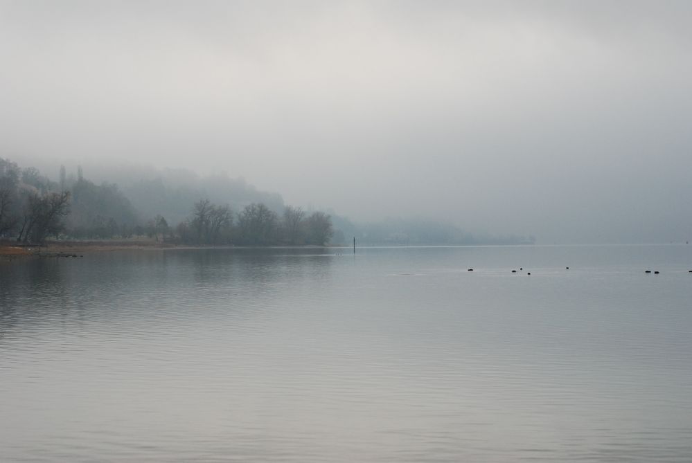 Stimmung am Bodensee