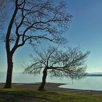 Stimmung am Bodensee