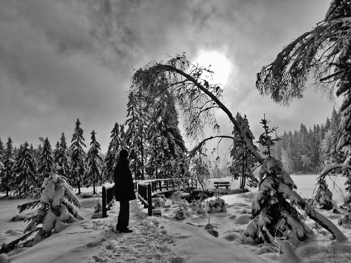 Stimmung am Fichtelsee