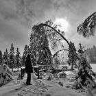 Stimmung am Fichtelsee