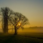 Stimmung am Liebschützberg