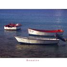 Stimmung am Meer Insel Bonaire