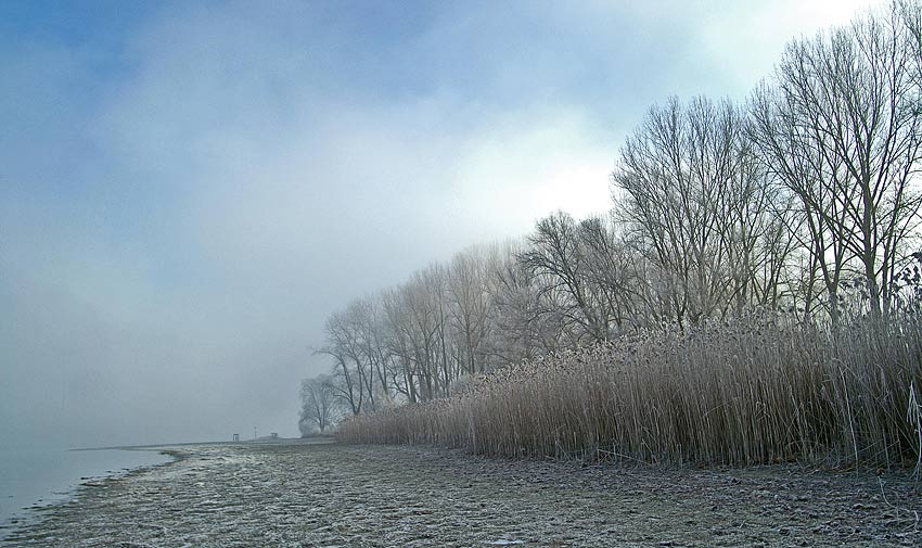 Stimmung am Rheinufer