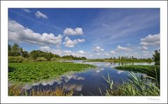 Stimmung am "Sandwater" in Simonswolde (Ostfriesland)