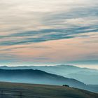 Stimmung am Schauisland - Blick zum Blauen