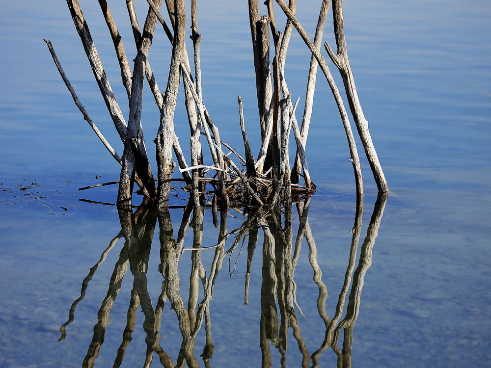 Stimmung am See