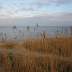 Stimmung am Wattenmeer - Sylt