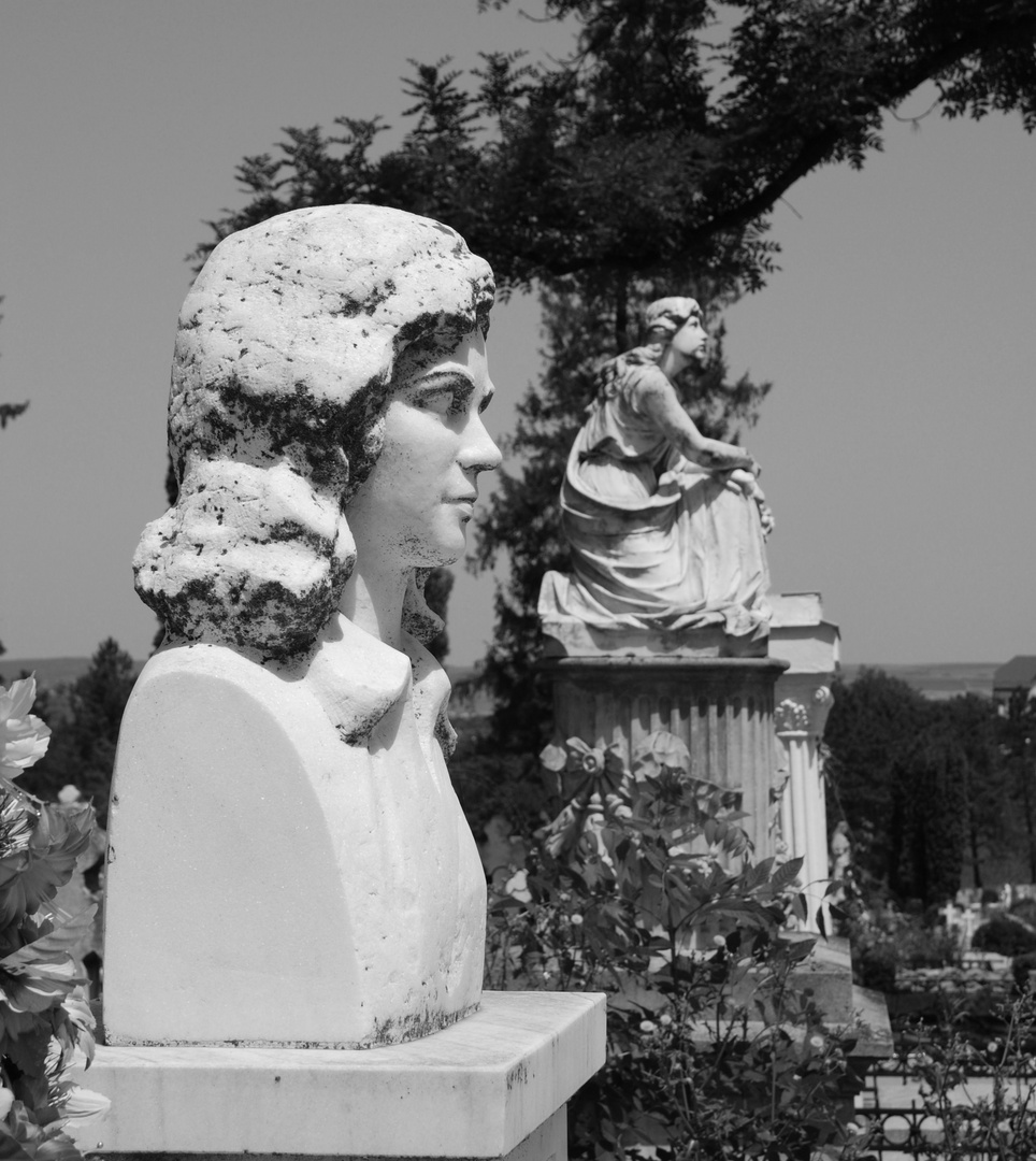 Stimmung auf dem Cimitirul Pacea in Suceava