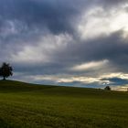 Stimmung auf dem Uetliberg