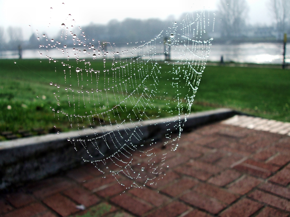 Stimmung heute morgen an der Weser