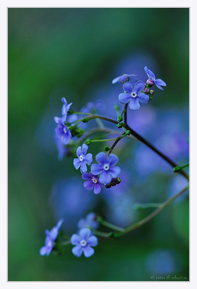 Stimmung im Garten