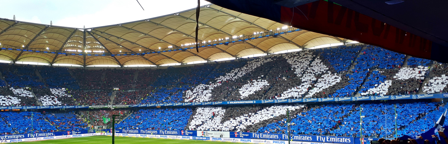 Stimmung im Hamburger Volksparkstadion...