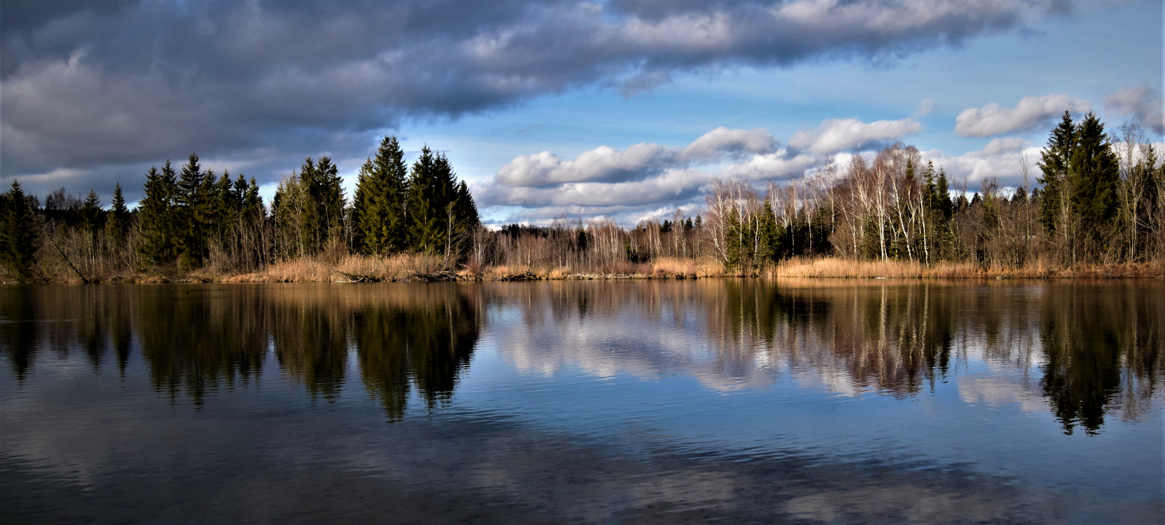 Stimmung im Januar