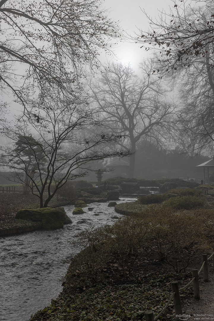 Stimmung im Japangarten