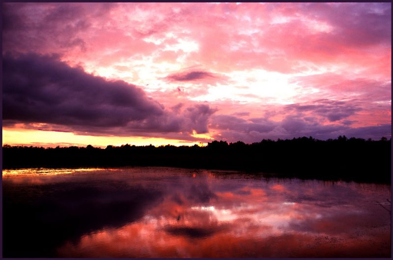 Stimmung im Moor (2)