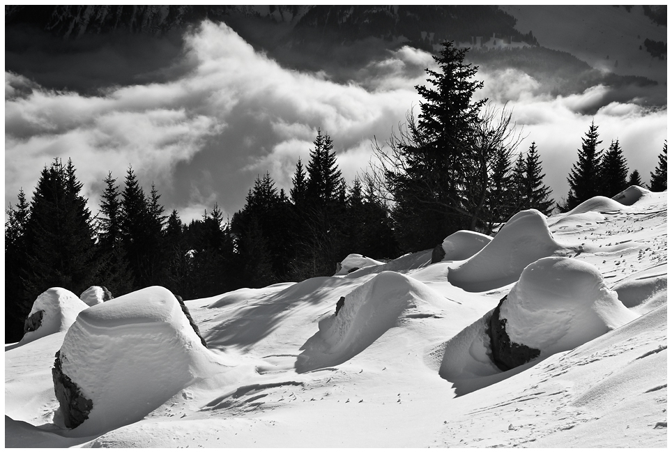 Stimmung im Schatten ..